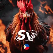 vivu88 Game 09